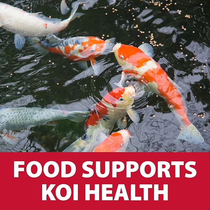 The Pond Guy Staple Fish Food for Backyard Koi & Goldfish, Choice Floating Pellets for Fish Wellness & Health, Smart Nutrition for Clean Ponds, 5 lbs