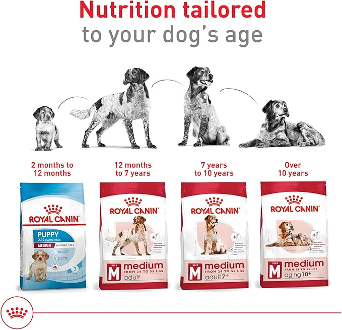 Royal Canin Size Health Nutrition Medium Adult Dry Dog Food, 30 lb Bag