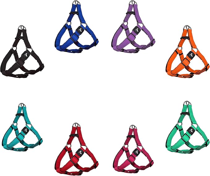 Kruz No Pull Dog Harness (Chest 26”-38”, Weight 44-88 lbs) Heavy-Duty Pet Harness for Large Breeds, Ultra-Comfort Fit, Lifetime Durability, Adjustable Dog Harness No Pull Design (Orange, Large)