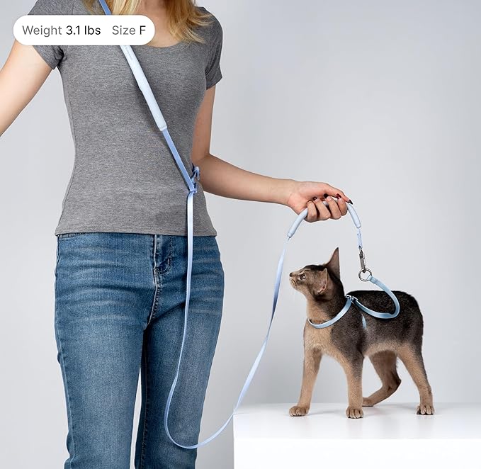 Cat Harness and Leash Set, Escape Proof Cat Harness Lightweight Leash with Padded Handle, Adjustable Leash Harness for Kitten>4lbs Small Large Cats Walking Training (Blurple, M)