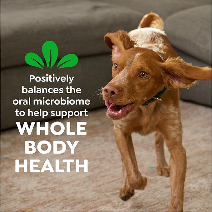 Greenies Veterinarian-Recommended Natural Dental Dog Treats Teenie Size, Original Flavor, 54 oz. Pack, 192 Count