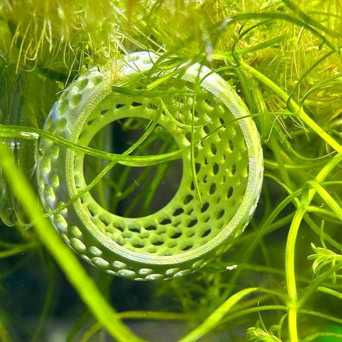 CTWPets Betta Bulb Hide | Betta Rest Fish Tank Ornament | Aquarium Cave with Suction Cup for Small Fish Tank, Betta Habitat, Shrimp Hideout, Aquatic Decor (Black)