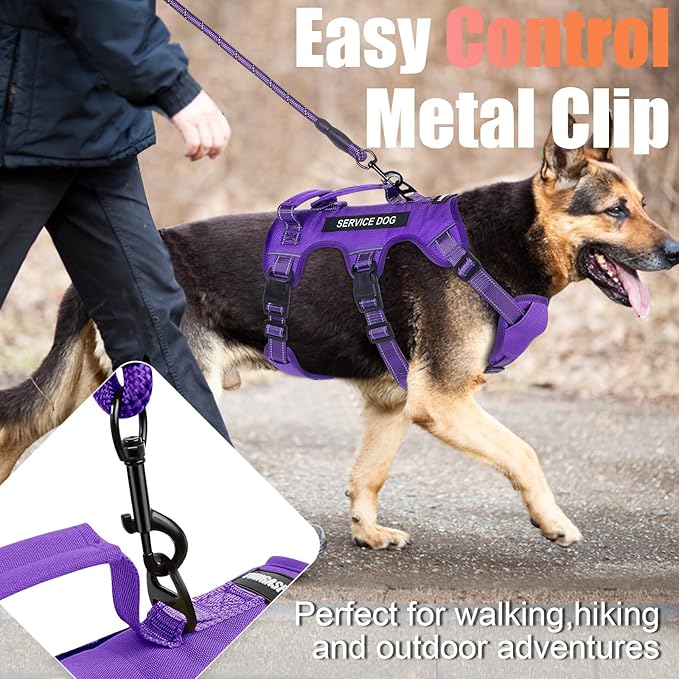 Escape Proof Dog Harness for Large Medium Sized Dogs Six Point Adjustable, Service Dog Vest Harness and Leash Set, No Pull Dogs Harnesses with Handle, Medium Dog Harnesses for Walking(Purple, M)