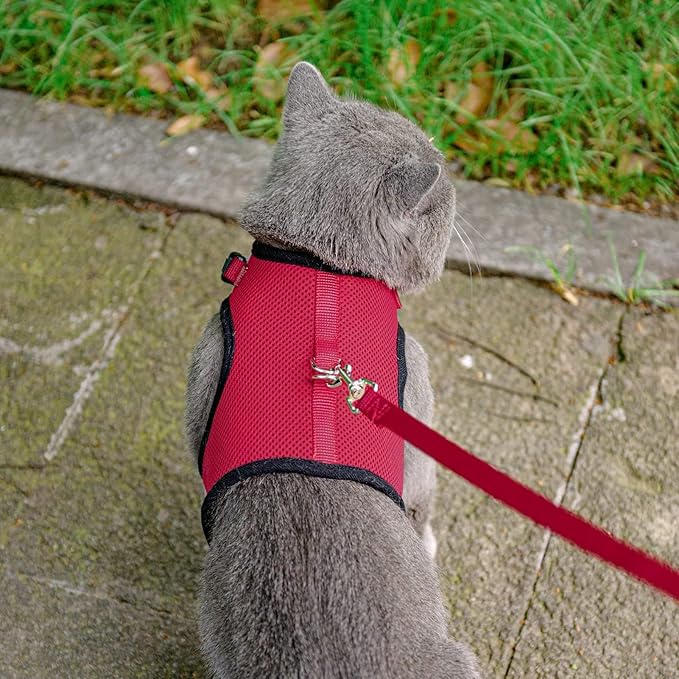 PUPTECK Soft Mesh Cat Vest Harness and Leash Set Puppy Padded Pet Harnesses Escape Proof for Cats Small Dogs, Red Medium