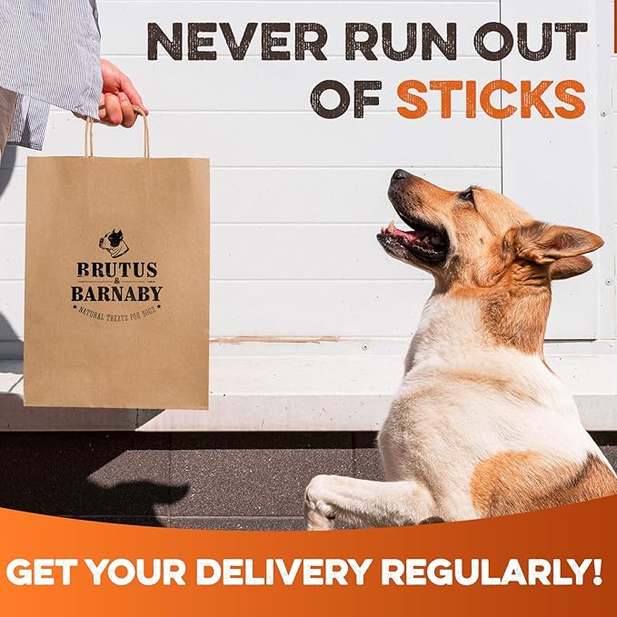 BRUTUS & BARNABY Bully Sticks for Dogs, Jumbo – Low-to-No Odor, Grass-Fed, Rawhide-Free Chews for Aggressive Power Chewers