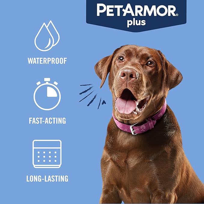 PetArmor Plus Flea and Tick Prevention for Dogs, Large Dog Flea and Tick Treatment, 6 Doses, Waterproof Topical, Fast Acting (45-88 lbs)