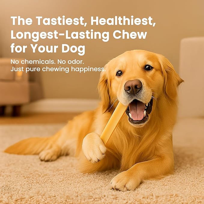 Authentic Himalayan Yak Cheese for Dogs - Jumbo (Pack of 1) - Sourced from Pristine Himalayan Foothill, Rawhide-Free, NO preservatives