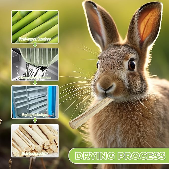 1lb Natural Sweet Bamboo Chew Toys - Animal Molar Sticks for Pet Snacks