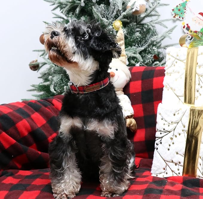 Unique style paws Dog Collar Metal Buckle Puppy Collar for Winter Christmas Red Plaid for Small Medium Large Boys Girls Dogs