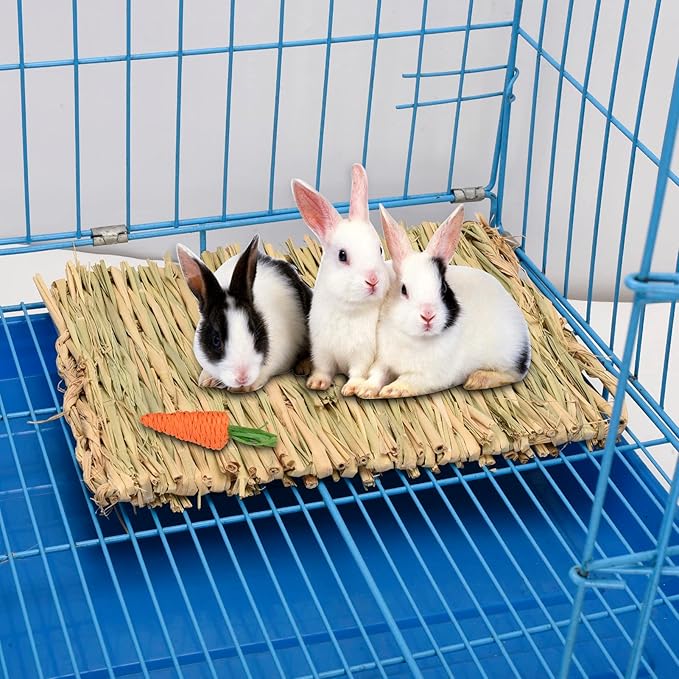 Grass mat for Rabbit Bunny Sangle Sopffy 6 Pcs,Rabbit Hay Mat,Small Animal Cages Hay Mat,Rabbit Grass Mat,Nesting and Toys for Guinea Pig Parrot Rabbit Bunny Hamster Chinchilla Squirrel