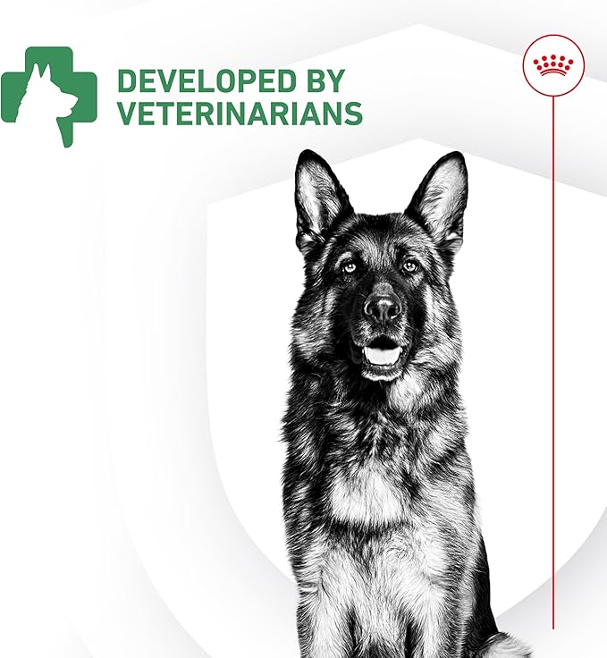 Royal Canin Probiotics for Dogs Digestive and Immune Health Powder Supplement for Dogs of All Ages, 30 Count
