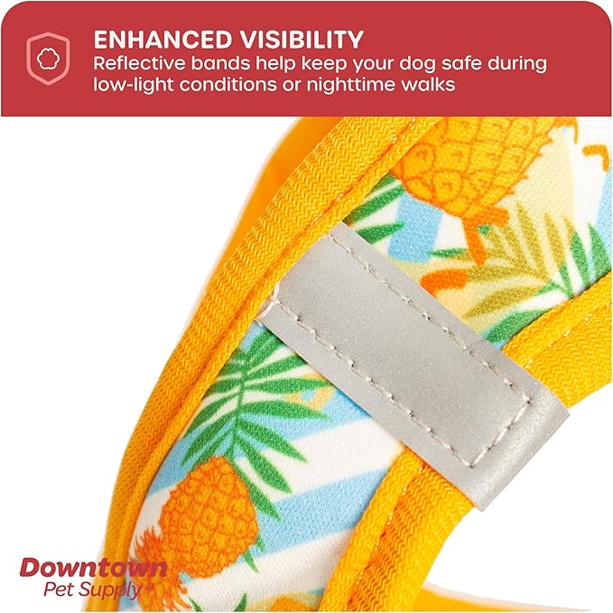 Downtown Pet Supply Step-in Dog Harness – No Pull, Adjustable Padded Mesh with Reflective Trim, Secure Buckle Strap – Comfortable & Breathable Small Dog Harness, Small, Pineapple