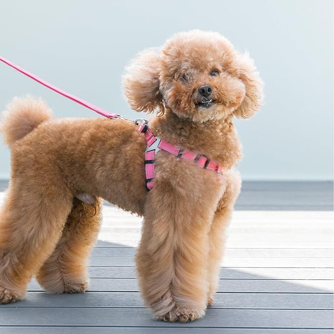 EXCELLENT ELITE SPANKER No Pull Dog Harness Adjustable Nylon Step-in Easy Pet Vest Chest Strap with Reflective and Leash Ring for Small Medium Large Breed Dogs Training Walking(Blue-L)