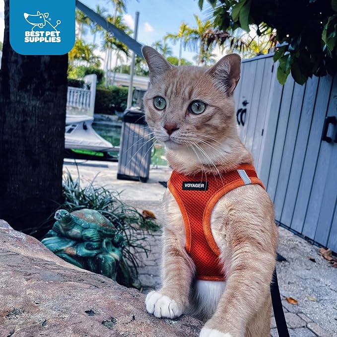 Best Pet Supplies Voyager Step-in Air Harness - All Weather Mesh, Reflective, No Pull Harness for Dogs, Cats - Secure with Hook & Loop Fastener, Buckle, Double D-Rings - Orange, M