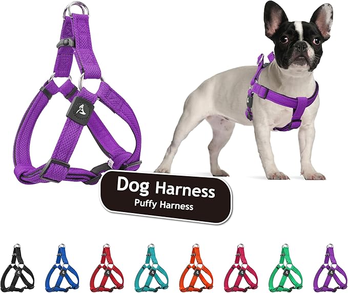 Kruz No Pull Dog Harness (Chest 30”-48”, Weight 66-176 lbs) Heavy-Duty Pet Harness for Large Breeds, Ultra-Comfort Fit, Lifetime Durability, Adjustable Dog Harness No Pull Design (Amethyst, X-Large)