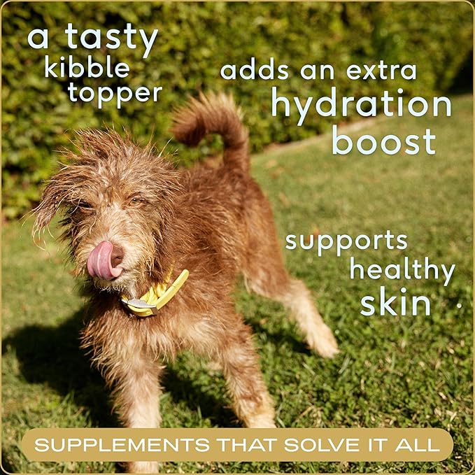 Native Pet Beef Bone Broth Powder for Dogs (19 Oz.) & Daily Dog Multivitamin (28 Oz.) - Daily Multivitamin for Pups and Pet Gravy Food Topper for Picky Eaters
