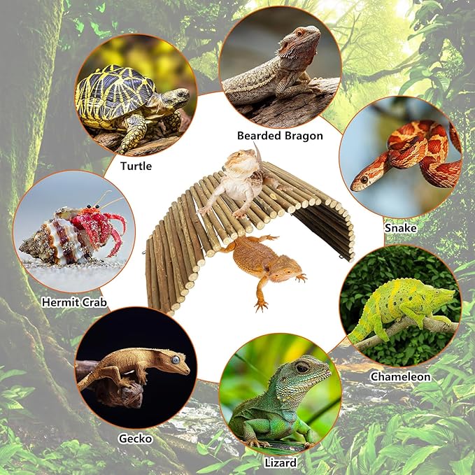 BNOSDM Large Reptile Hide Tortoise Hideout Bearded Dragon Wooden Bridge Snake Climbing Tunnel Habitat Decor for Lizards Spiders Gecko Ball Python (19.7x9 in)