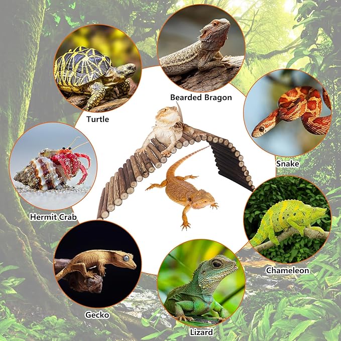 BNOSDM Reptile Hide Tortoise Hideout Bearded Dragon Wooden Bridge Snake Climbing Tunnel Habitat Decor for Lizards Spiders Gecko Ball Python (19.7x5.9 in)