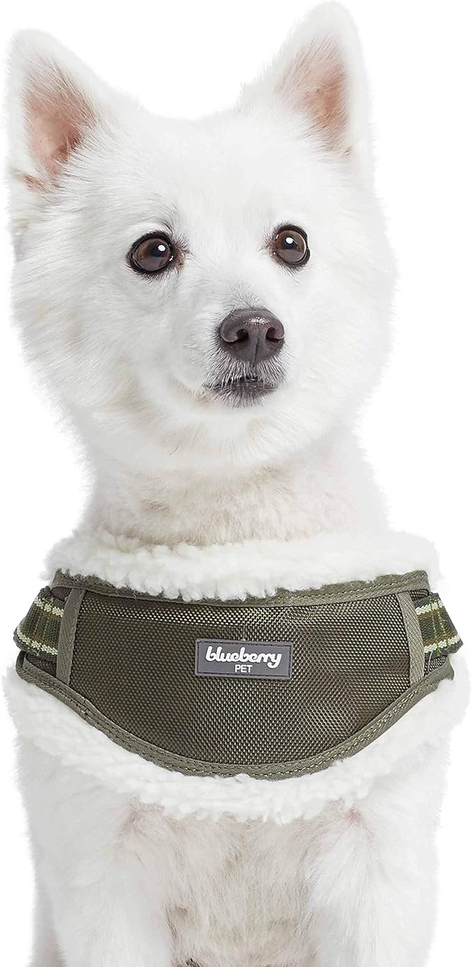Blueberry Pet Soft & Comfy Multi-Colored Stripe Fleece Padded Chest Dog Harness, Chest Girth 16.5" - 21", Olive Green, Small, Adjustable No Pull Training Harness for Dogs