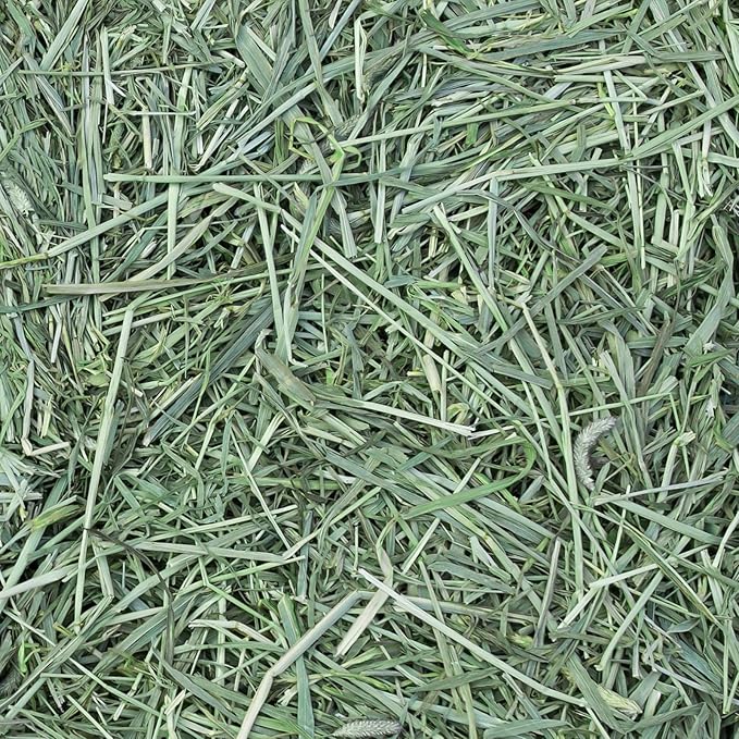 Eaton Pet and Pasture Naturally Grown, Premium, 1st Cut Blend, Western Timothy Hay Orchard Blend, Small Animal Food, Sustainable, Eco-Friendly, Farmer-Owned, 6LB-Box.