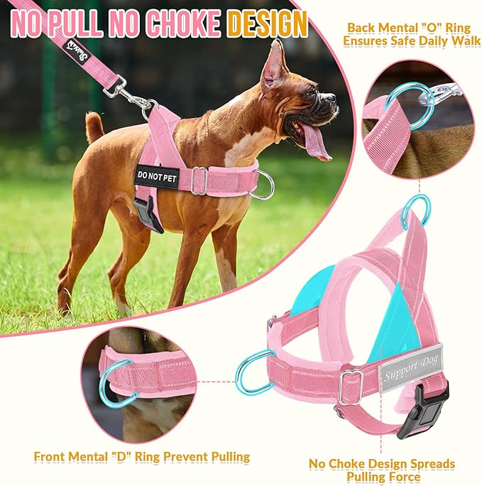 Lukovee No Pull Dog Harness & Leash Set - Heavy Duty Dog Vest Harness with Soft Padded for Medium Large Dogs, Adjustable Reflective Tactical Pet Harness for Easy Walk and Training (M, PI)