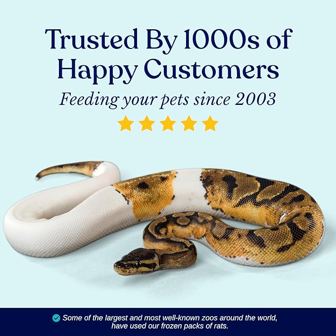 MiceDirect EST. 2003 150 Frozen Mice Small Adult Feeders Snake Food for Juvenile Red Tail Boas Ball Pythons Adult Sand Boas Milks Corn (2.5-3 in) (2850 Grams Min)