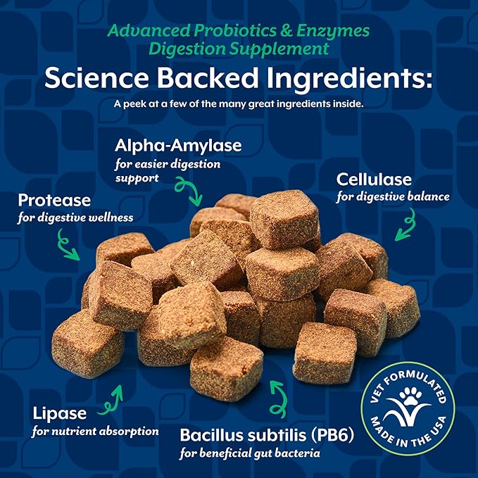 NaturVet Advanced Probiotics & Enzymes, PB6 Dog Soft Chews to Help Sensitive Stomachs and Digestive Issues, Hickory Smoked Bacon Flavored Pet Supplement for Dogs Over 6 Weeks, 240 Count Jar