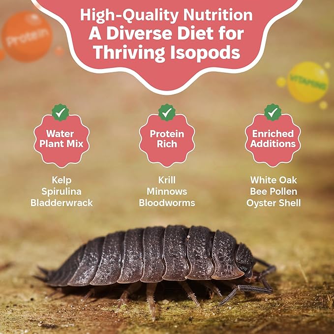 Snout and Shell Isopod Colony Builder - Daily Driver, Garden Foraging, and Wetland Foraging Bundle