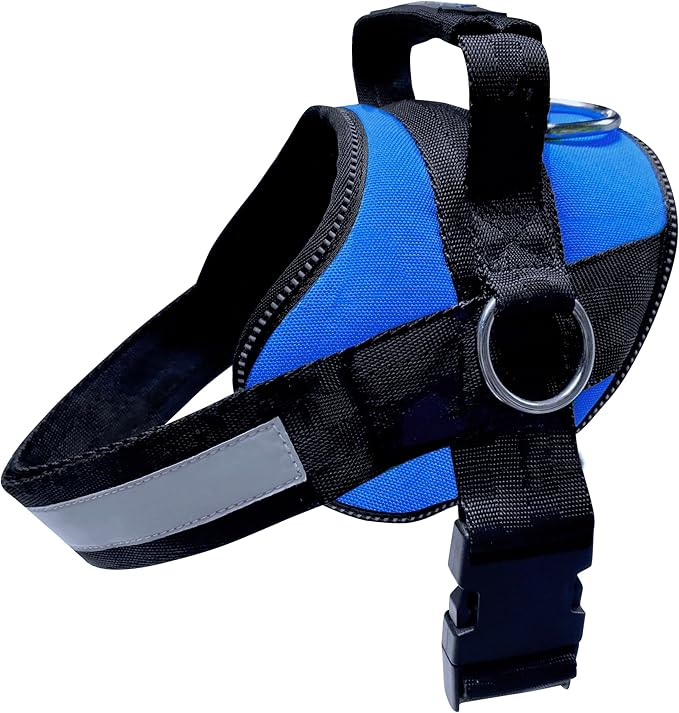 Joyride Basic Essential Dog Harness 1.0 - Small, Medium, Large Dogs, No-Pull Pet Vest with 3 Side Rings for Leash Placement, Adjustable for Training (Blue Serenity, L)