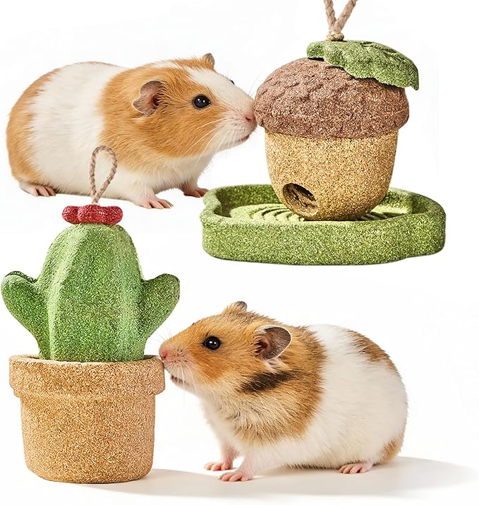 2 Pack Guinea Pig Chew Toys, Prevent Teeth Overgrowth - 11oz Hamster Toys, Natural Vegetables & Timothy Grass, Cute Acorns & Cactus Shaped Habitat Decoration, Small Animal Chew Toys