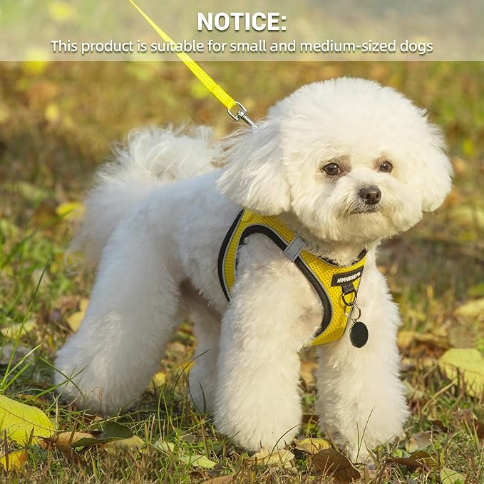 Dog Harness and Leash Set, Dog Harness for Dogs No Pull, No-Chock Step-in Reflective Breathable Lightweight Easy Walk Vest Harnesses with Safety Buckle for Small Medium Dogs, Cats (Yellow, XL)