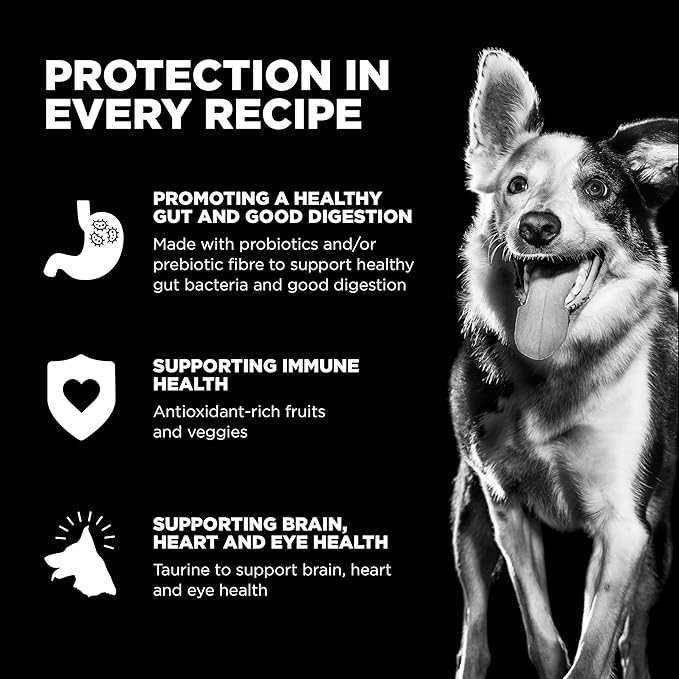 Go! Solutions Sensitivities Limited Ingredient Turkey Grain-Free Dry Dog Food, Chicken-Free Kibble Made by Experts for Sensitive Stomachs & Food Allergies, for Puppies, Adults, & Seniors, 3.5 lb Bag