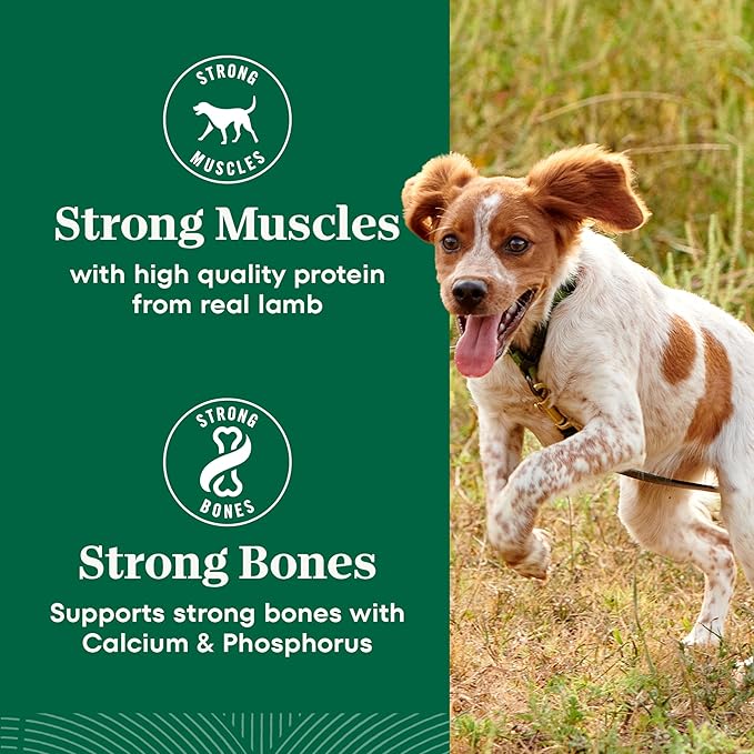 Nutro Natural Choice Adult Small Bites Dog Food, Chicken & Brown Rice Recipe, 13 lb. Bag