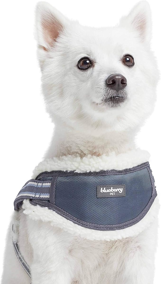 Blueberry Pet Soft & Comfy Multi-Colored Stripe Fleece Padded Chest Dog Harness, Chest Girth 30" - 38.5", Grey, Large, Adjustable No Pull Training Harness for Dogs