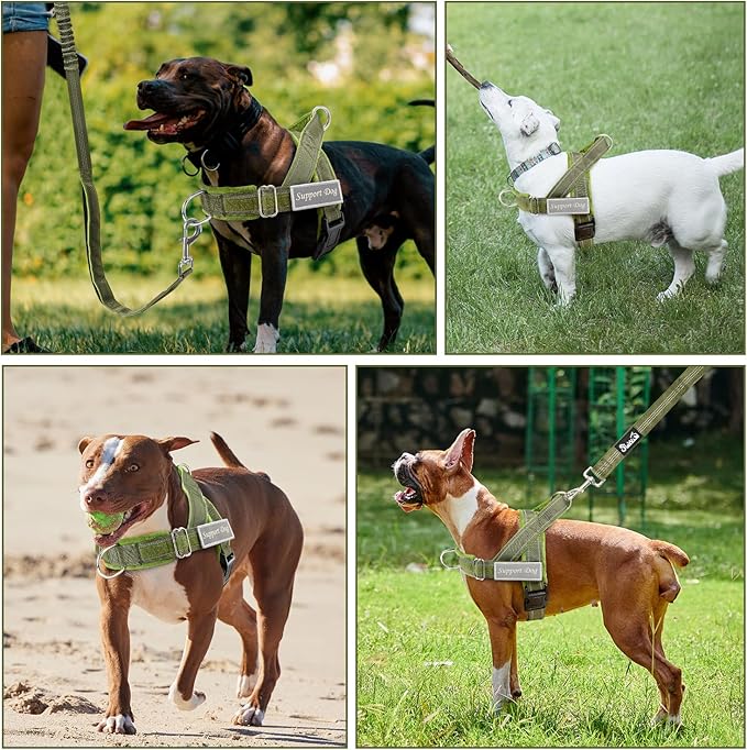 Lukovee No Pull Dog Harness & Leash Set - Heavy Duty Dog Vest Harness with Soft Padded for Medium Large Dogs, Adjustable Reflective Tactical Pet Harness for Easy Walk and Training (L, Green)