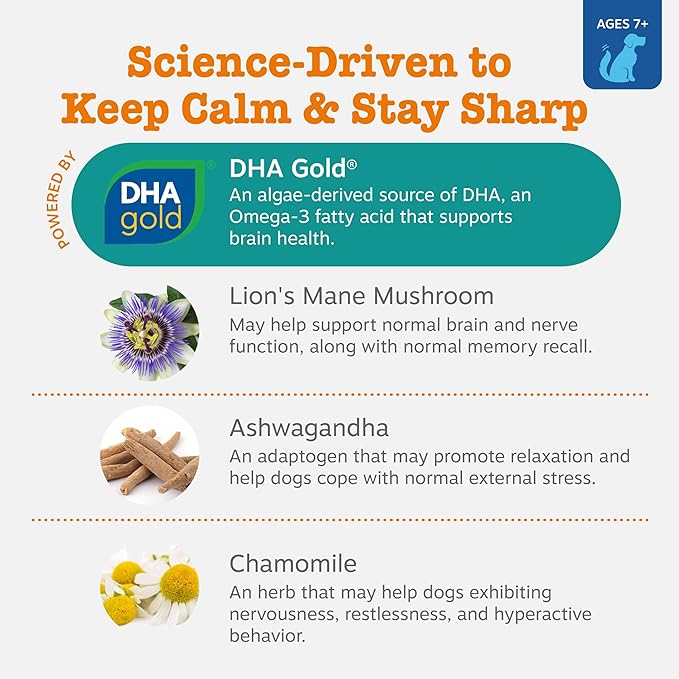 Zesty Paws Senior Advanced Calming & Cognition Soft Chews for Dogs - Supplements for Dog Brain Health & Nervous System Support + Calming & Relaxation -with Ashwagandha, DHA & Melatonin