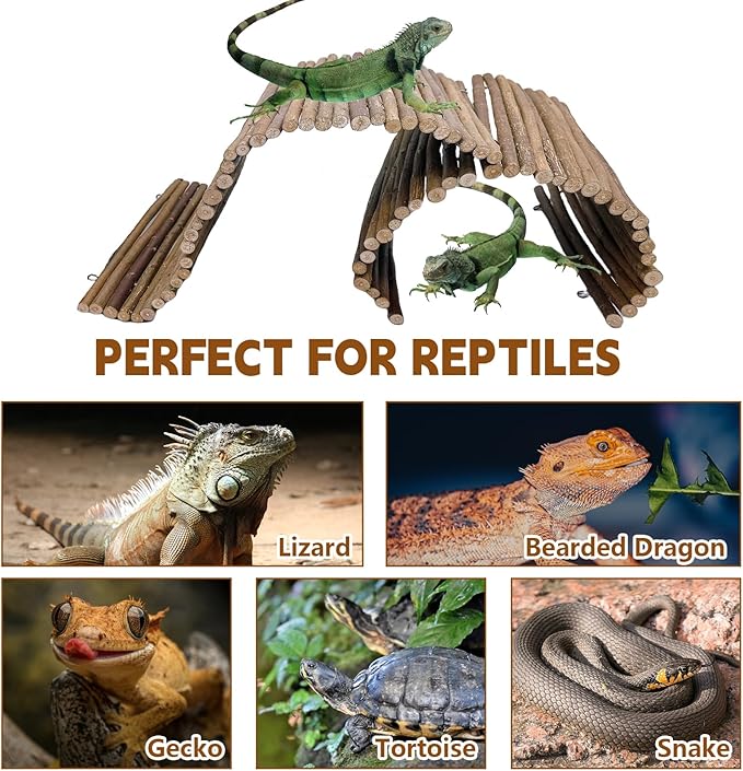 BNOSDM 2PCS Reptile Hideout Wooden Bridge 12.99"x 18.89" Lizard Hide Caves Bearded Dragon Habitat Accessories for Gecko Snake Frog Chameleon Iguana Tortoise
