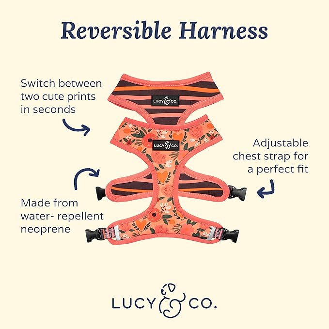Lucy & Co. Reversible Dog Harness Walking Halter - Best Designer Pet Harnesses for Extra Small Medium Large XL Dogs Plus Pug Breeds - Padded Adjustable Puppy Vest for Easy Walking