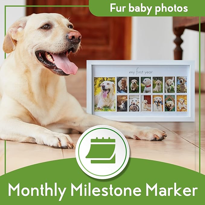 Green Pollywog My First Year Dog Picture Frame | 12-Month Photo Display | White Wood Keepsake | Fur Baby Milestone Gift