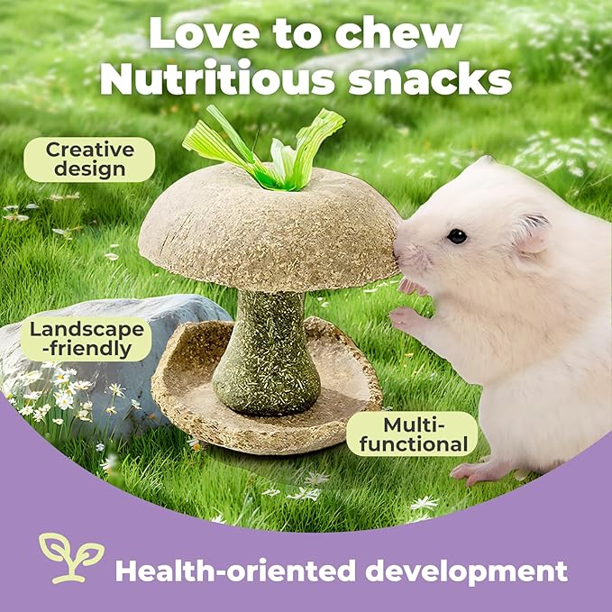 mini&moe Hamster Chew Toys for Teeth - Guinea Pig Chew Toys for Teeth Food Chews Treats Hamster Cage Accessories for Rabbit, Bunny, Chinchilla, Rat and Small Animal 3.1in Apple Core Shaped