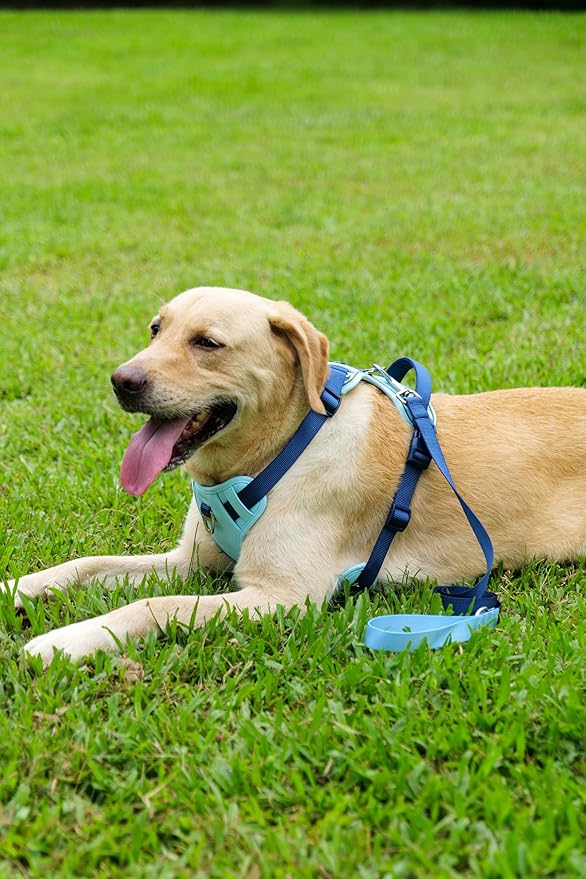 No Pull Dog Harness Leash and Collar Set, Soft Adjustable Dogs Vest Reflective and Comfortable Handle Blue Large