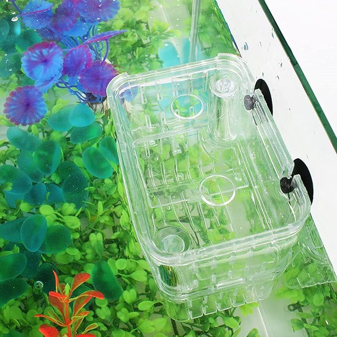 Still Awake Aquarium Fish Breeder Box Plastic Fish Isolation Breeding Box Hatching Incubator Box for Baby Fish Shrimp Clownfish Guppy （L）