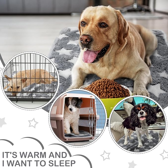 Reginary 4 Pcs Waterproof Guinea Pig Blankets Washable Small Animal Fleece Bedding Guinea Pig Cage Liners Reusable Training Pads Pet Pee Pad Sleep Mat for Hamster(Gray Star,24 x 16 Inch)