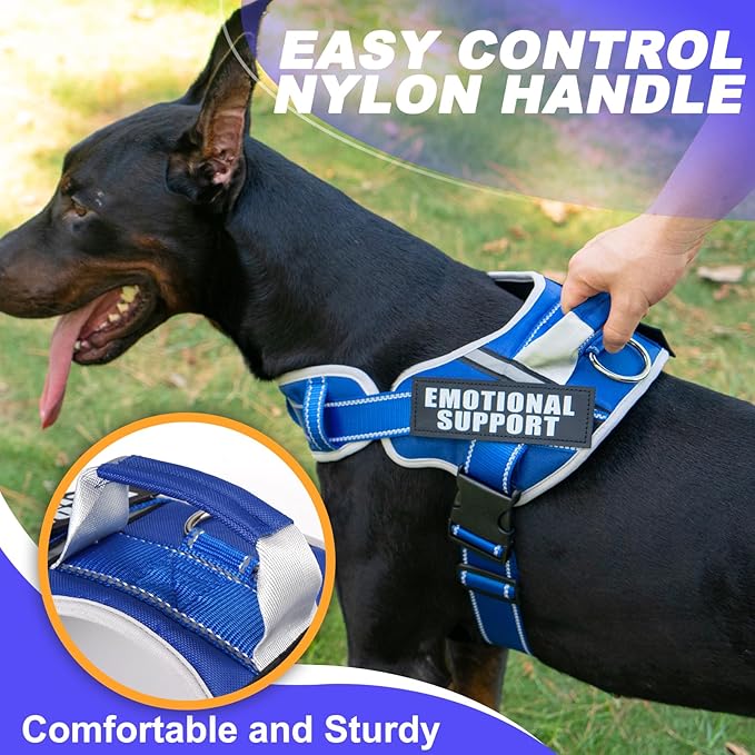 Neck Padded Service Dog Vest Harness and Leash Set, No Pull Adjustable Service Pet Harness with 8 Dog Patches, Reflective in Training Easy Control Pet Vest with 5ft Dog Leash for Medium & Large Dogs