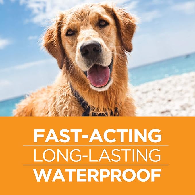 FirstAct Plus Flea Treatment for Dogs, Small Dogs 6-22 lbs, 3 Doses, Same Active Ingredients as Frontline Plus Flea and Tick Prevention for Dogs
