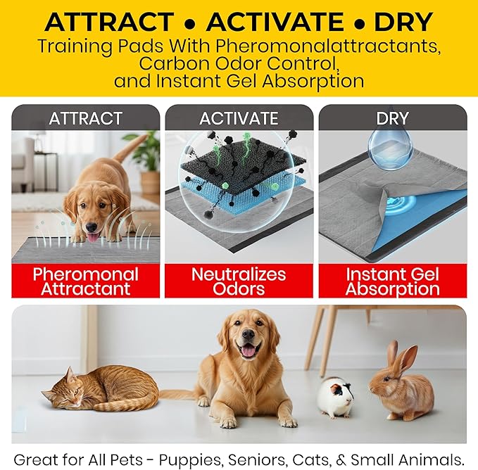 Glad for Pets Black Charcoal Puppy Pads - Super Absorbent Disposable Dog Pee Pads, Potty Training Pads, and Pet Supplies - Dog Pee Pads for Crate Training and Indoor Use 23" x 23" - 50 Count