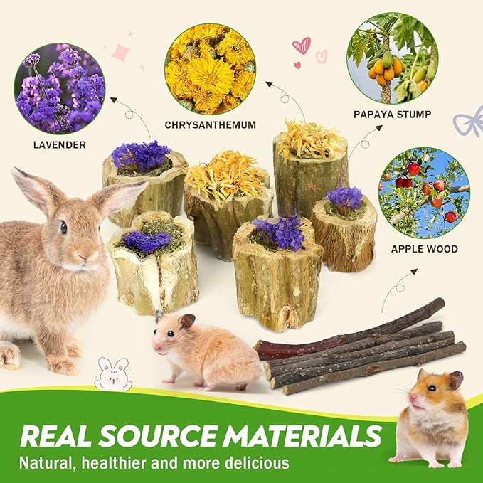 3.5oz Rabbit Chew Toys for Teeth，Bunny Papaya Wood Chew Toys Guinea Pig Treats with Apple Stick for Rabbits Guinea Pigs Hamsters Chinchillas Gerbils Prevent Teeth Overgrowth (3.5 oz, Flower)
