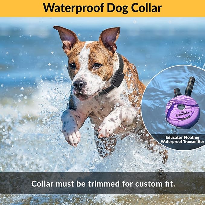 Educator E-Collar Humane Dog Training Collar with Remote, 100 Safe Tapping Stimulation Levels, Night Light, Waterproof, Rechargeable, 1/3 Mile 2 Small Dogs Double Bungee Bundle, Purple