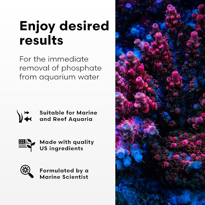 Brightwell Aquatics Phosphat-E Liquid Phosphate Remover for Marine Fish and Reef Aquariums - Aquarium Water Treatments, 16.9 fl oz
