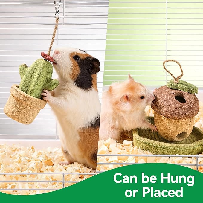 2 Pack Guinea Pig Chew Toys, Prevent Teeth Overgrowth - 11oz Hamster Toys, Natural Vegetables & Timothy Grass, Cute Acorns & Cactus Shaped Habitat Decoration, Small Animal Chew Toys
